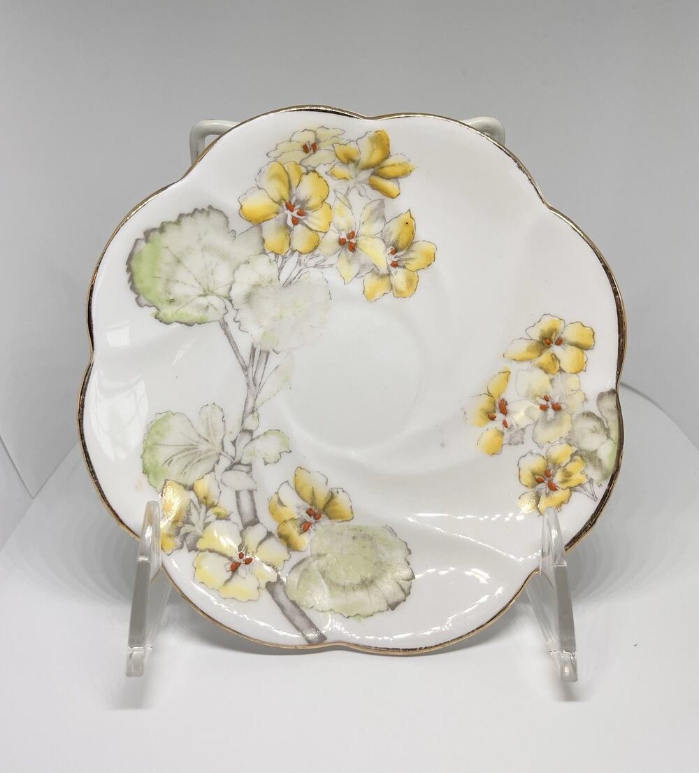 Vintage Salisbury Geranium Pattern Saucer, Made In England